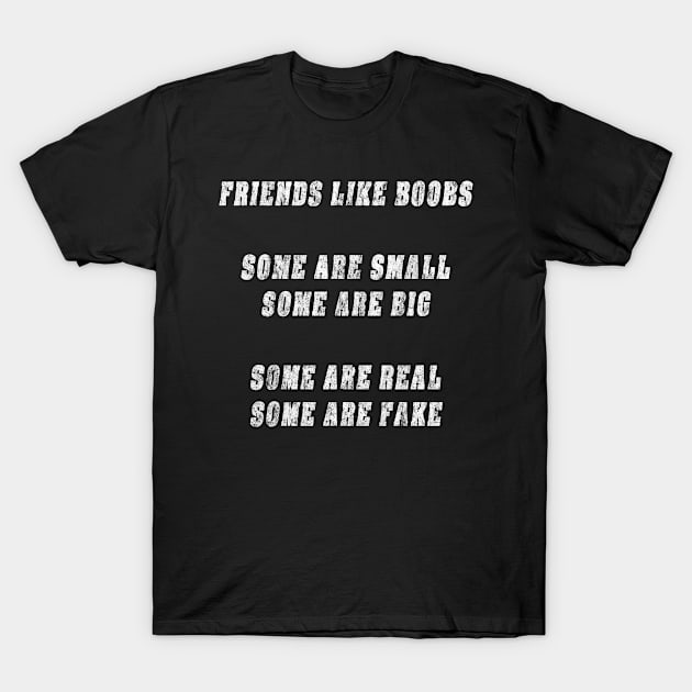 Friends Like Boobs Gift T Shirt T-Shirt by gdimido